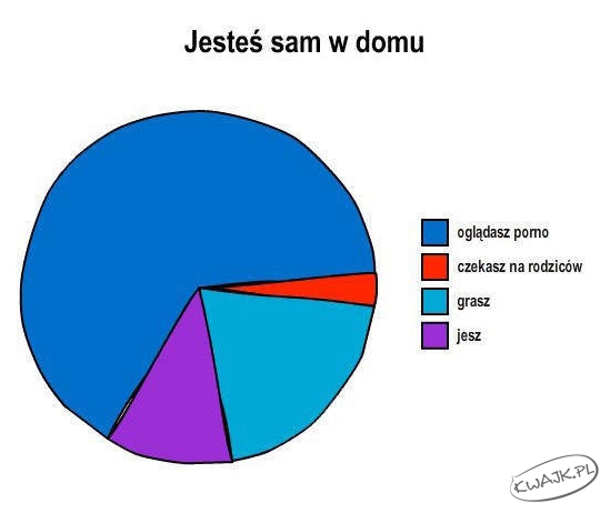 Sam w domu