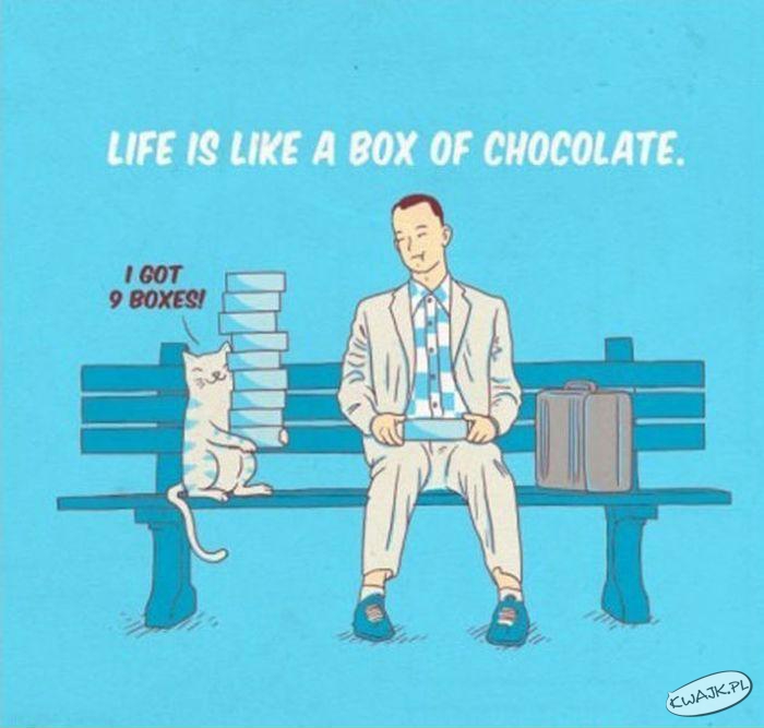 Życie jak pudełko czekoladek