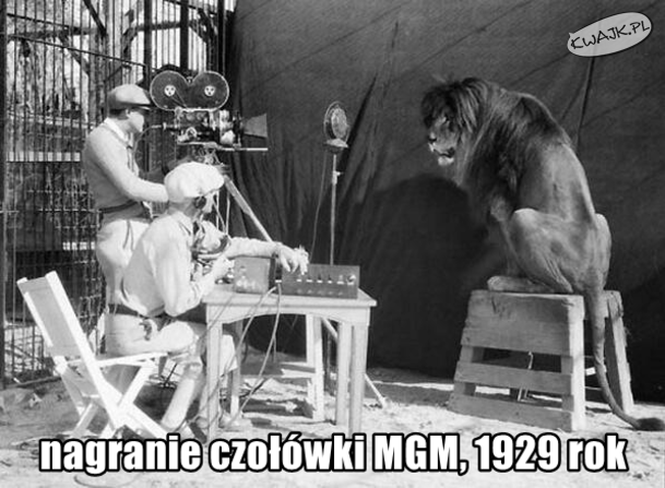 Trochę historii filmu