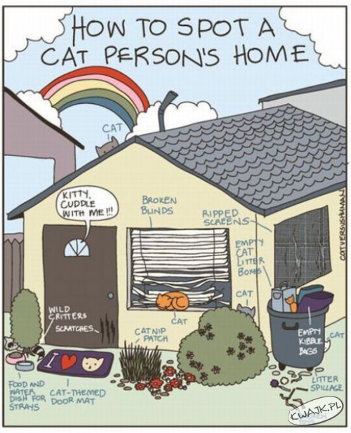 Jak rozpoznać dom kociej mamy