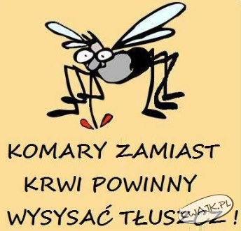 Zadanie komarów