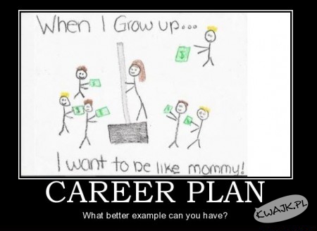 Plan kariery