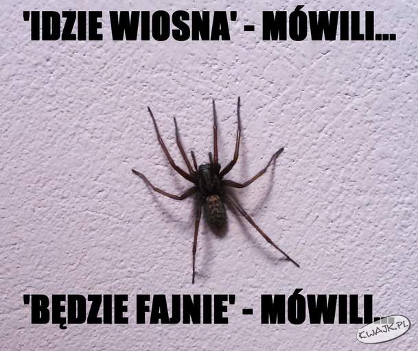 Wiosna mówil