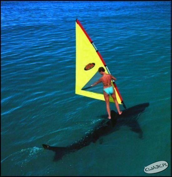 Sharksurfing