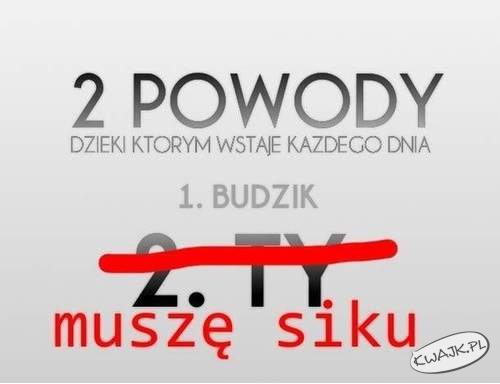 2 powody