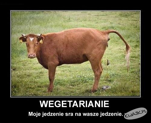 Wegetarianie