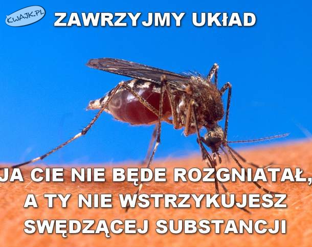 Taki mały układ