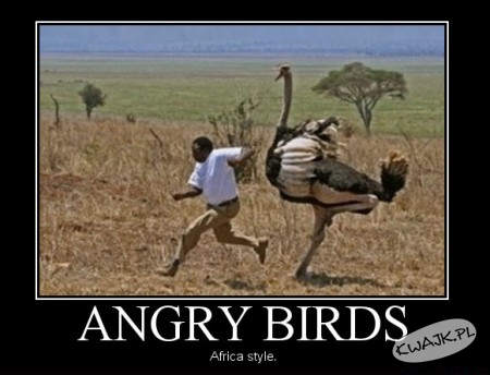 Angry birds po afrykańsku