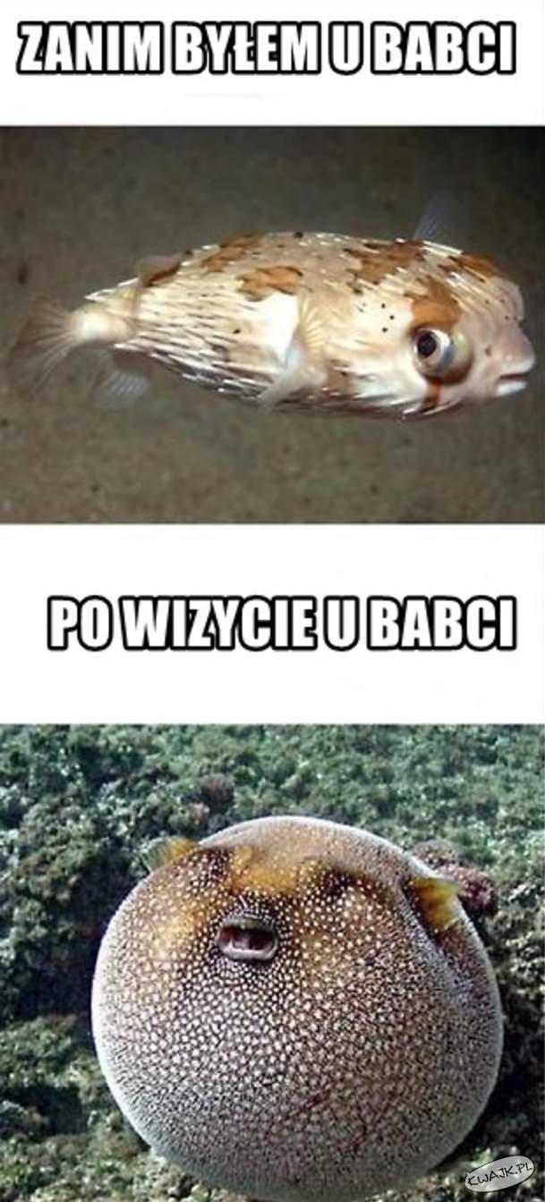 Wizyta u babci