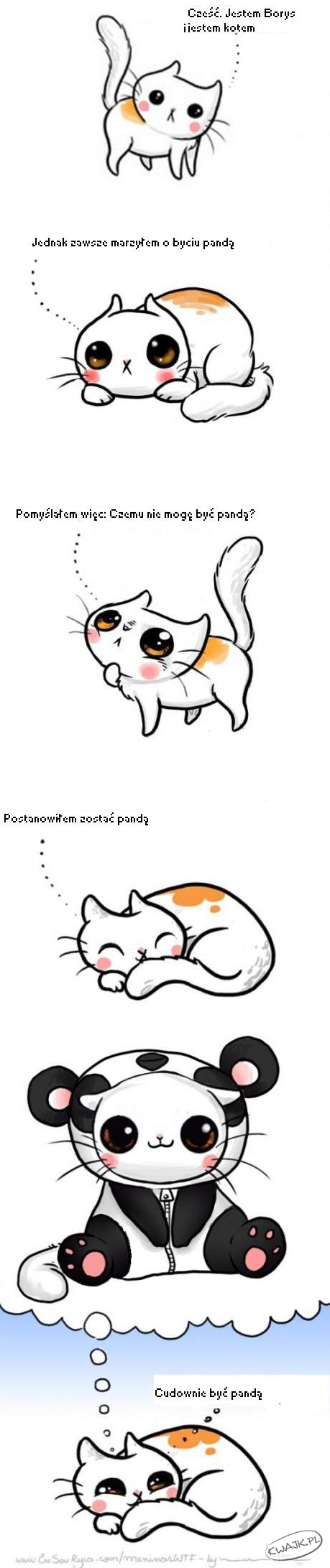 jak kot Borys został pandą