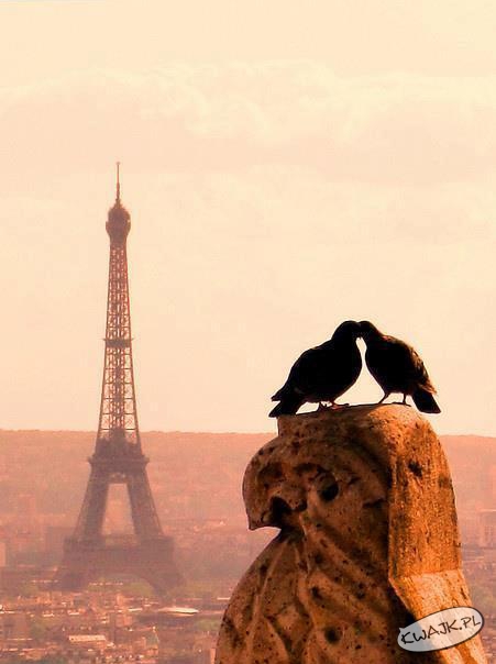 Zakochani w Paryżu