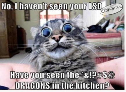 LSD.. jakie LSD?
