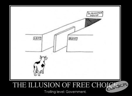 Iluzja wolnego wyboru