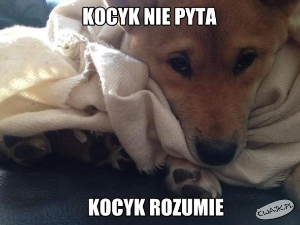 Kocyk :)