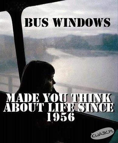 Okna autobusów