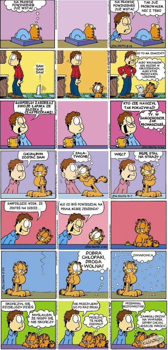Wesołe życie Garfielda