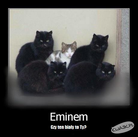 Eminem? to Ty?