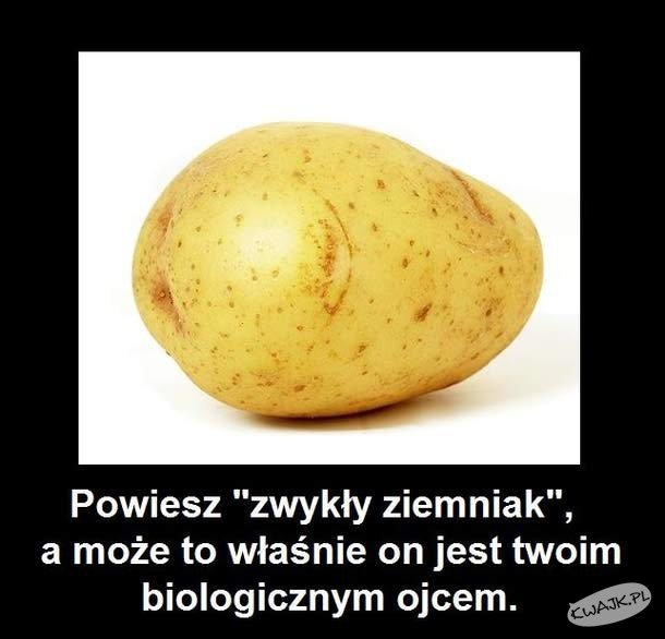 Zwykły ziemniak