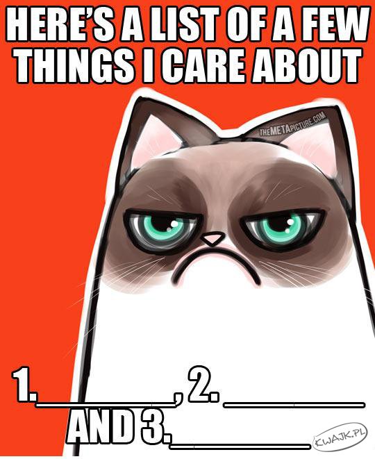 Zasady Grumpy Cat