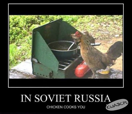 W Rosji to kurczaki grillują ludzi