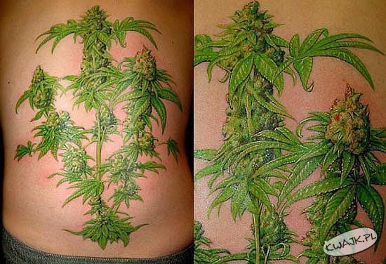 Tatuaż zwolennika legalizacji