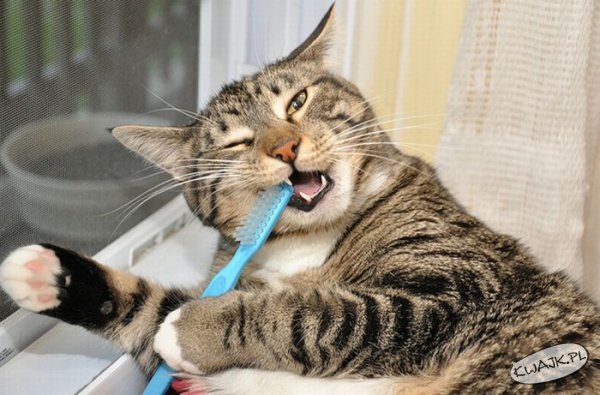 Mycie zębów wcale nie jest łatwe