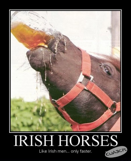 Irlandzki koń