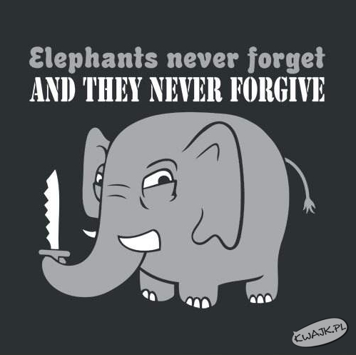 Słonie - śmiertelnie niebezpieczne
