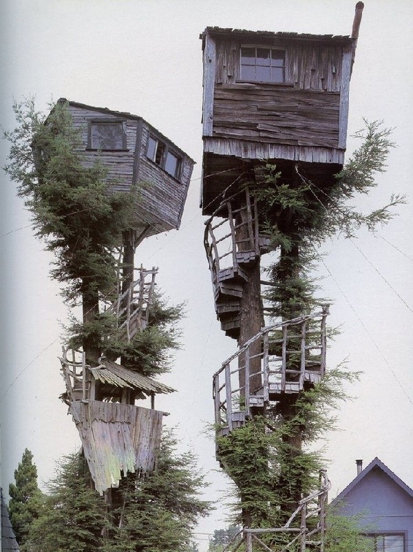 Domki na drzewach