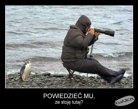 Uważny fotograf