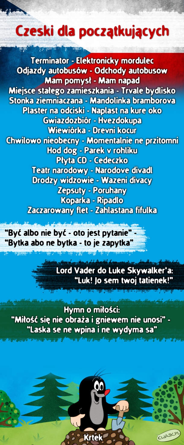Czeski pikny język