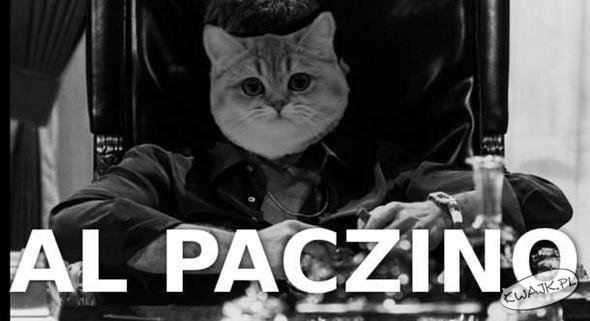 Al Paczino