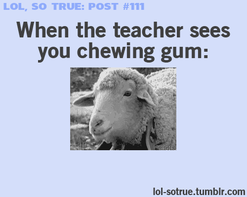 Kiedy nauczyciel widzi, że żujesz gumę