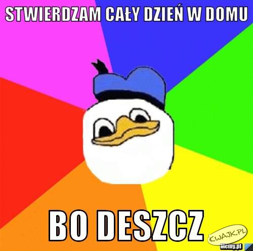 Stwierdzam!