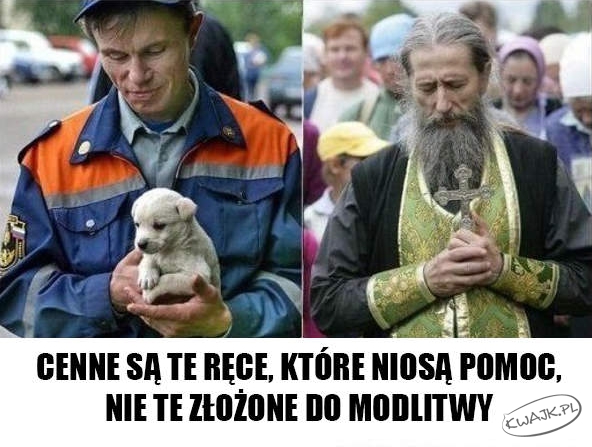 Cenne ręce