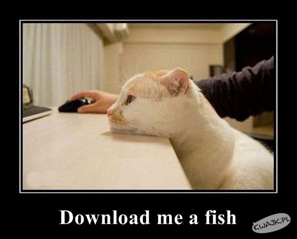 Ściągnij mi rybę