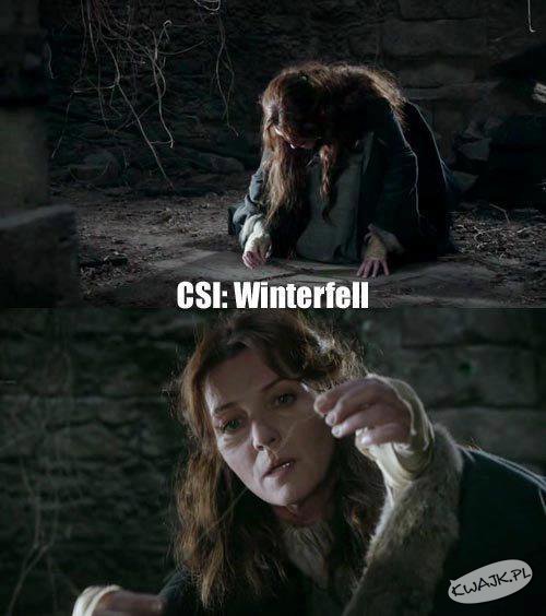 CSI: Winterfell
