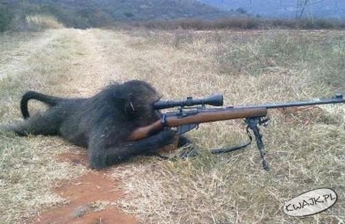 Afrykański sniper