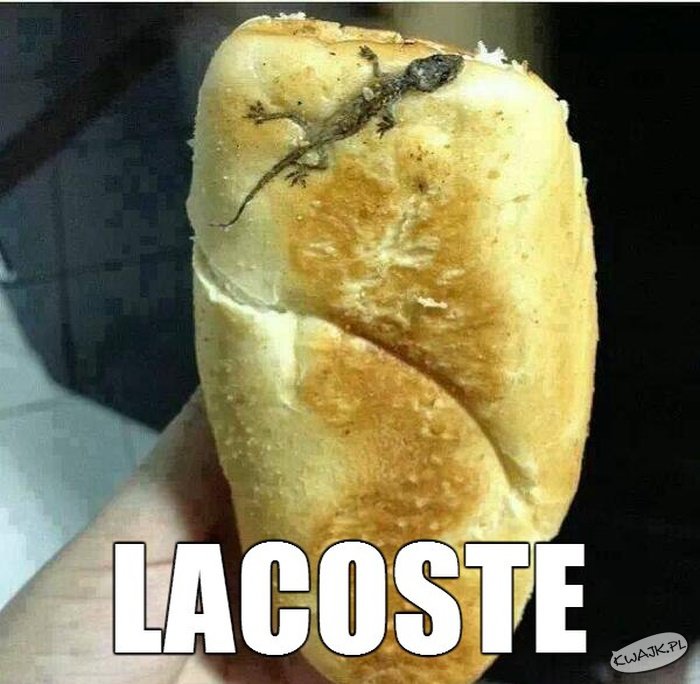 Lacoste za 50 groszy!