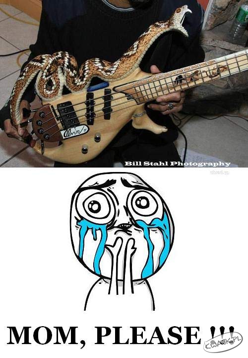 Mamo chcę taką gitarę