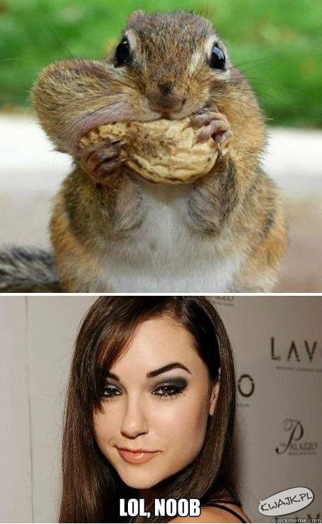 Prawie jak Sasha Grey