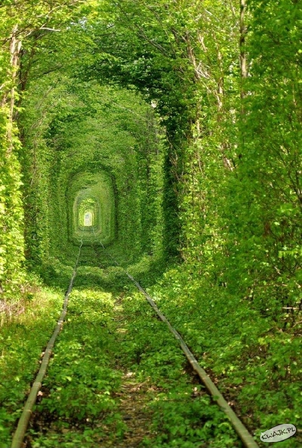 Zielony tunel