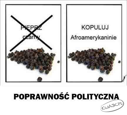 Poprawność polityczna