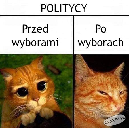 Prawda o politykach