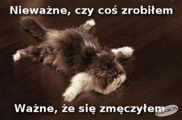 Zmęczenie