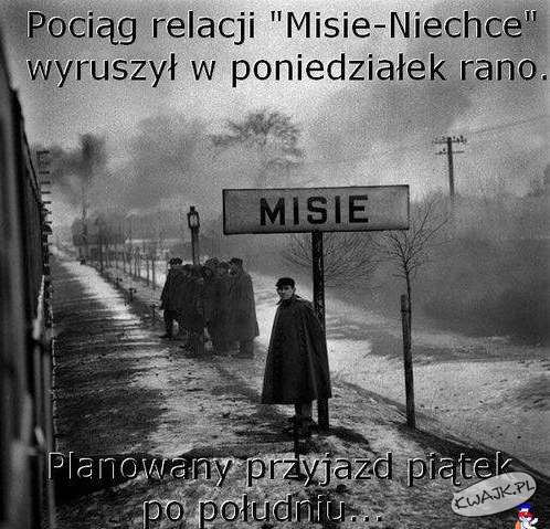 Misie-Niechce kończy bieg