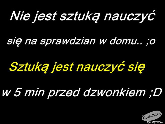 Sztuka uczenia się