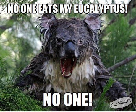 Nikt nie będzie jadł mojego eukaliptusa