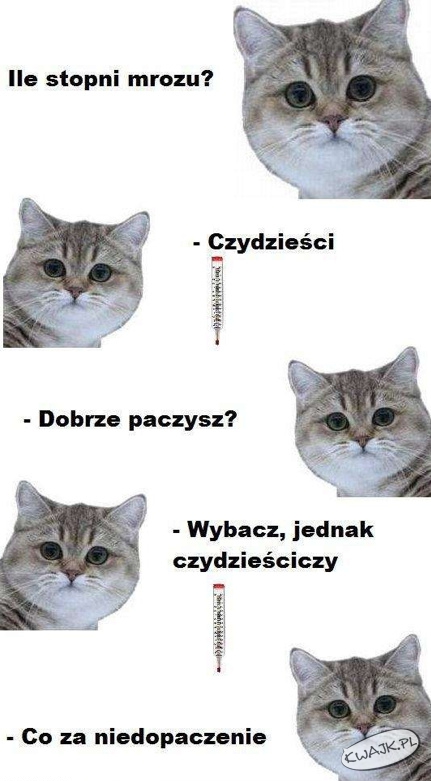 Dialog paczyciela