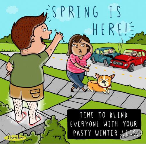 Po czym poznać, że już wiosna?